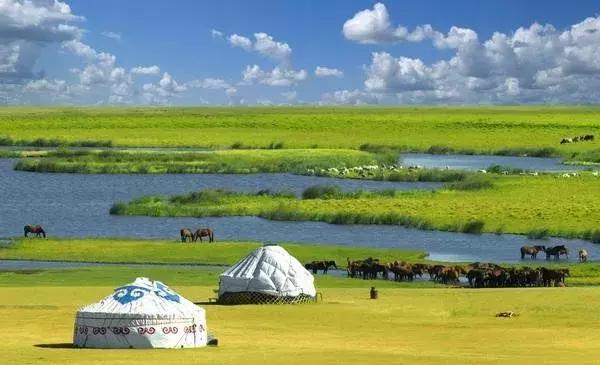 內(nèi)蒙古草原生態(tài)恢復(fù)到上世紀(jì)80年代中期水平