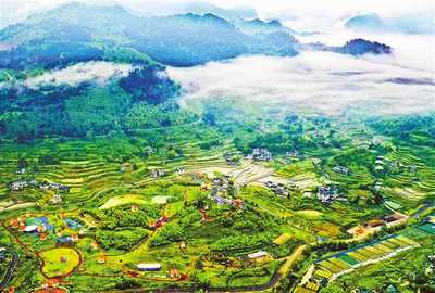 重慶:生態(tài)修復(fù) 綠美山鄉(xiāng)