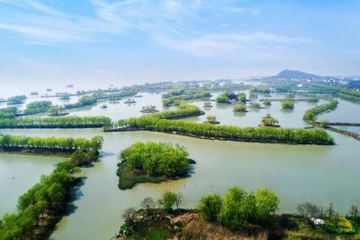 太湖三山島濕地生態(tài)修復(fù)入選江蘇省 “最美生態(tài)保護(hù)修復(fù)案例”